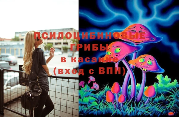 дмт Ростов