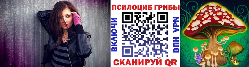 где продают   Рассказово  Псилоцибиновые грибы Cubensis 
