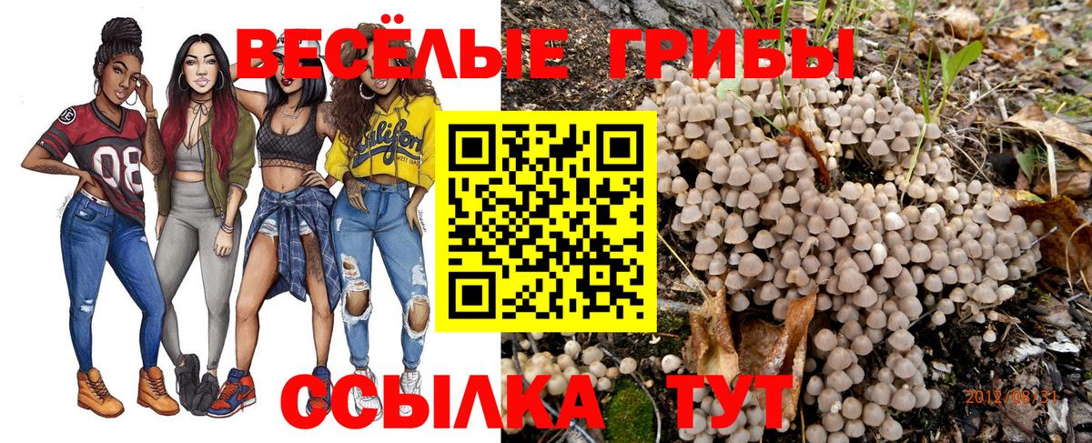 Галлюциногенные грибы мицелий  наркота  Рассказово  Псилоцибиновые грибы Psilocybine cubensis  Вход с VPN 