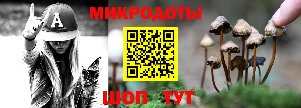 Псилоцибиновые грибы прущие грибы Рассказово